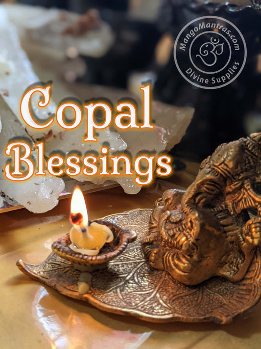 Highest Grade Fresh Unprocessed White Copal: Copal de la Penca 100% Pure Organic from Mexico for Protection, Blessing and Purification!