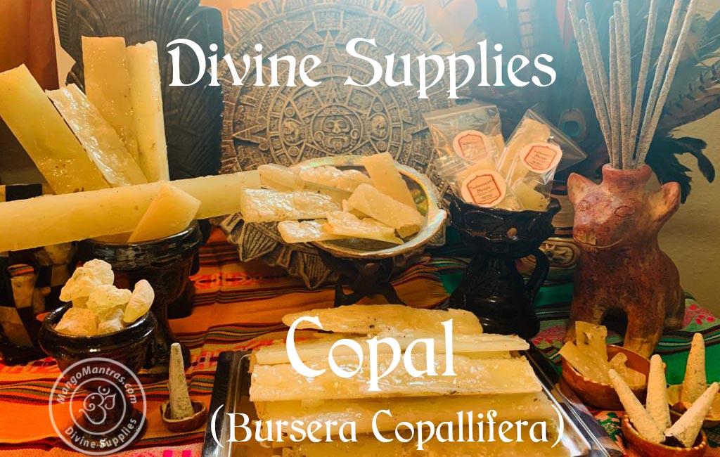 Highest Grade White Copal: Copal de la Penca 100% Pure Organic from Mexico