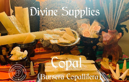 More Copal de la Penca 100% Pure Organic from Mexico! Highest Grade Fresh Unprocessed White Copal for Protection, Blessing & Purification!