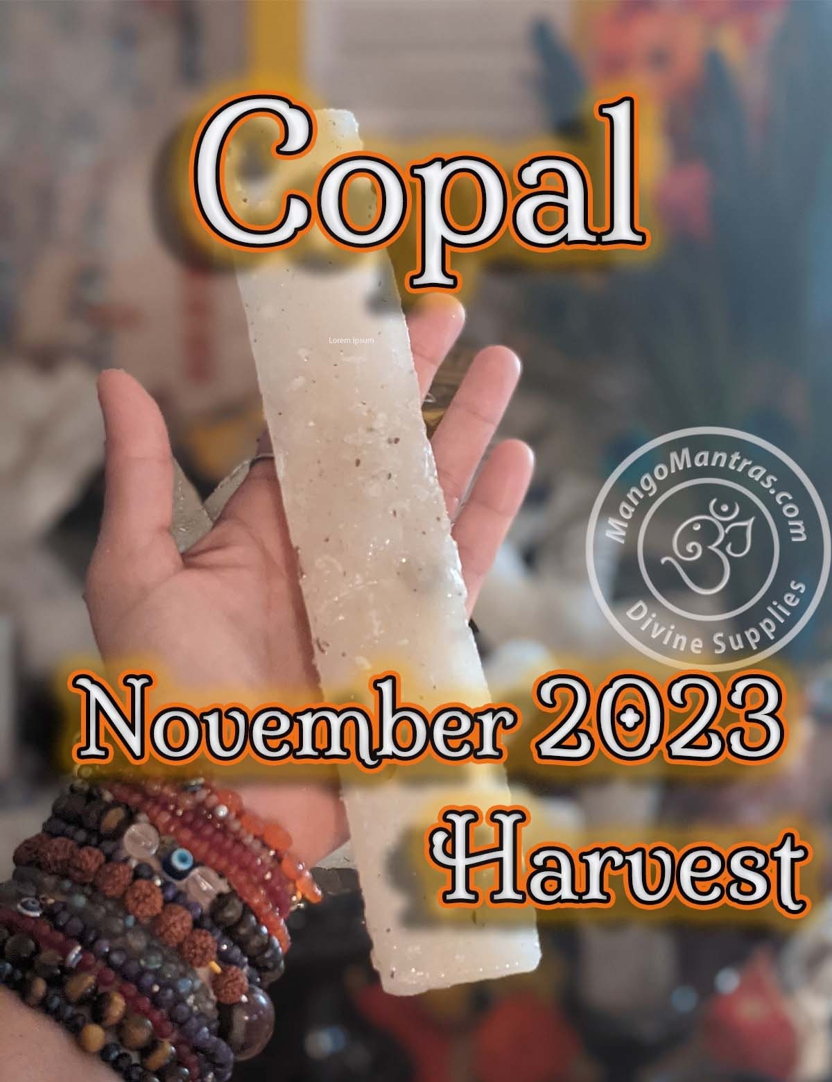 More Copal de la Penca 100% Pure Organic from Mexico! Highest Grade Fresh Unprocessed White Copal for Protection, Blessing & Purification!